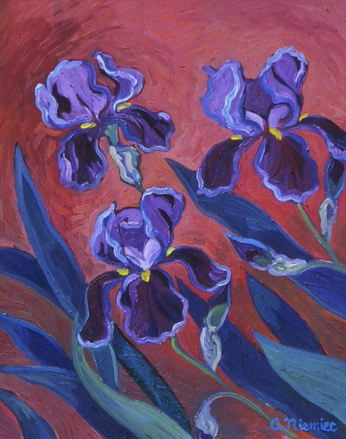 Purple iris Oil